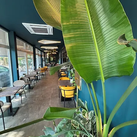 菲尔拉康体spa酒店 3*